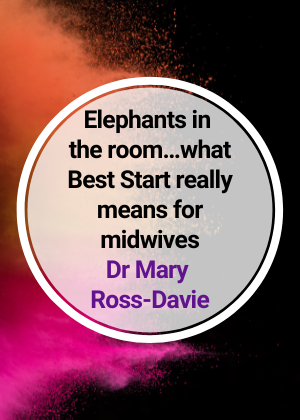 Elephants in the room…what Best Start really means for midwives